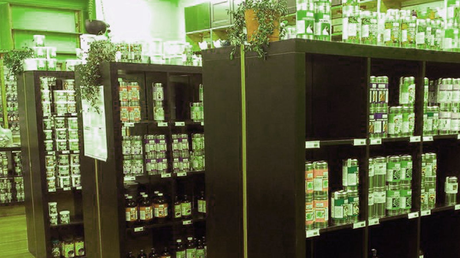 Quality-focused herbal tea preparation